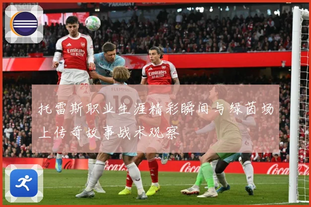 托雷斯职业生涯精彩瞬间与绿茵场上传奇故事战术观察