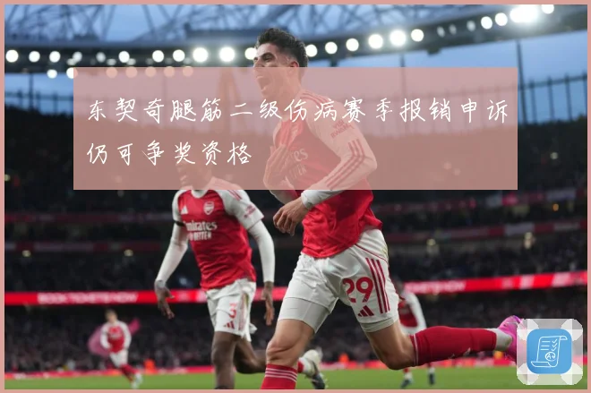 东契奇腿筋二级伤病赛季报销申诉仍可争奖资格