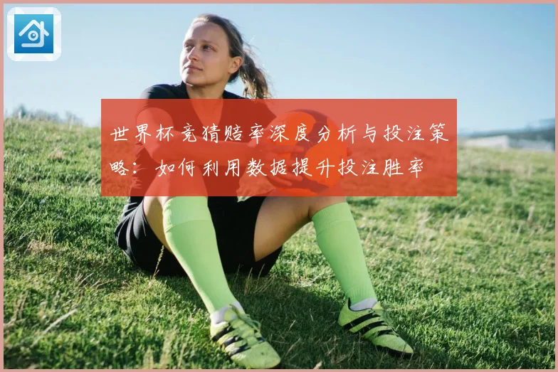 世界杯竞猜赔率深度分析与投注策略：如何利用数据提升投注胜率